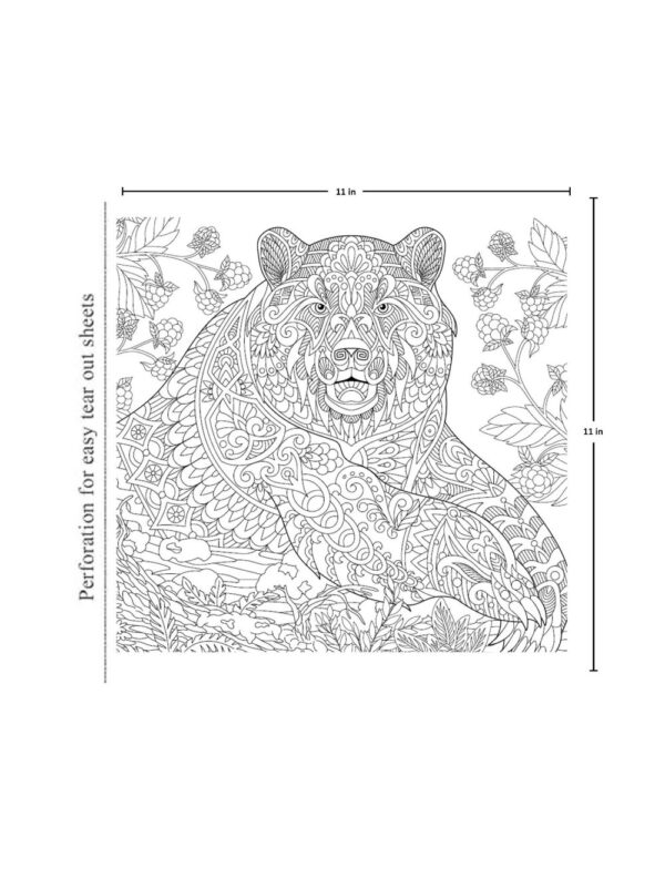 Animal Colouring Book for Adult