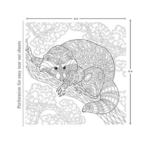Animal Colouring Book for Adult