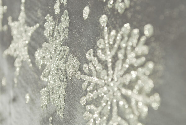 Setacolor Auxiliaries 10 G Glitter Powder Silver