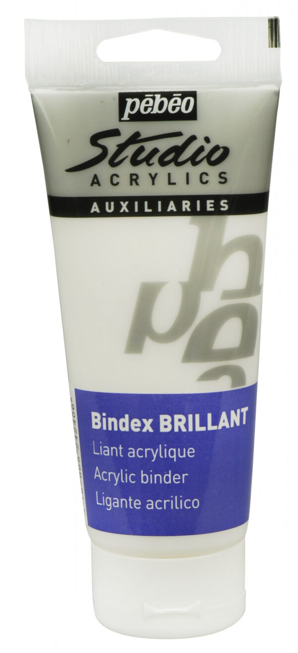 Studio Acrylics 100 Ml Gloss Bindex