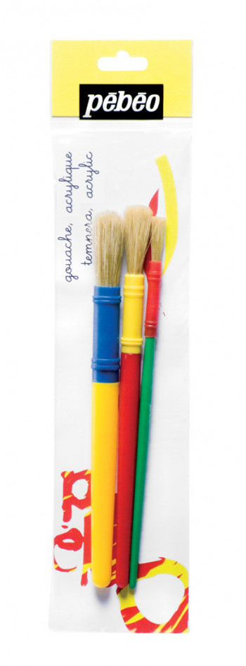 Wallet Of 3 Bristle Brushes Small Medium And Large Sizes