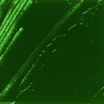 Xl Fine Oil 200 Ml Phthalocyanine Emerald