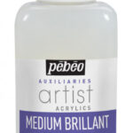 Artist Acrylics 250 Ml Gloss Medium