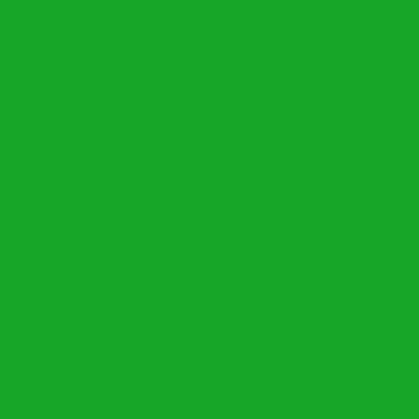 Setacolor Light Fabrics 45 Ml Lawn Green