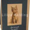 Notepad for sketches "Kitten" size 120*180mm 50sheets kraft paper