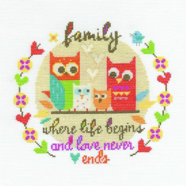 DMC Counted Cross Stitch Kit - Family