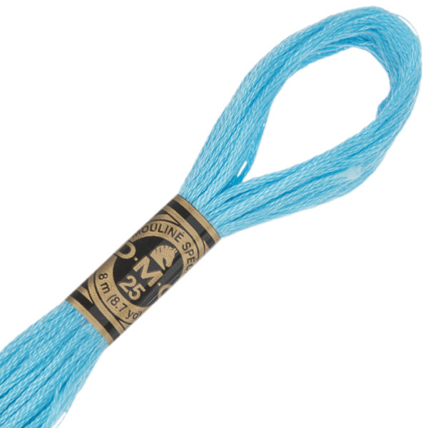 DMC Stranded Cotton Cross Stitch & Embroidery Thread - 3846