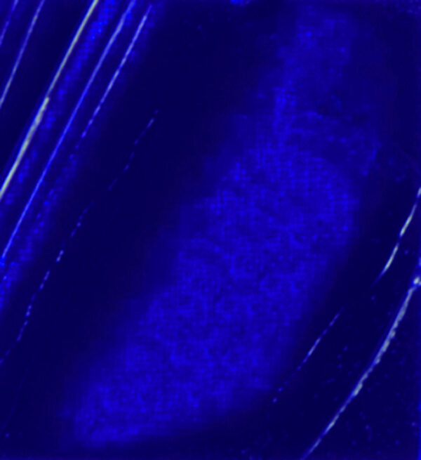 Xl Fine Oil 37 Ml Ultramarine Blue
