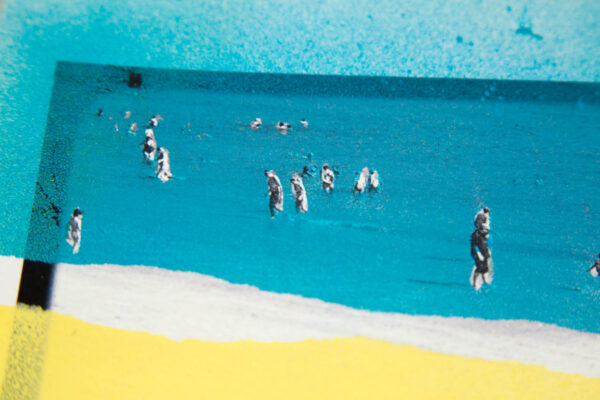 Colorex Ink 45 Ml Cyan