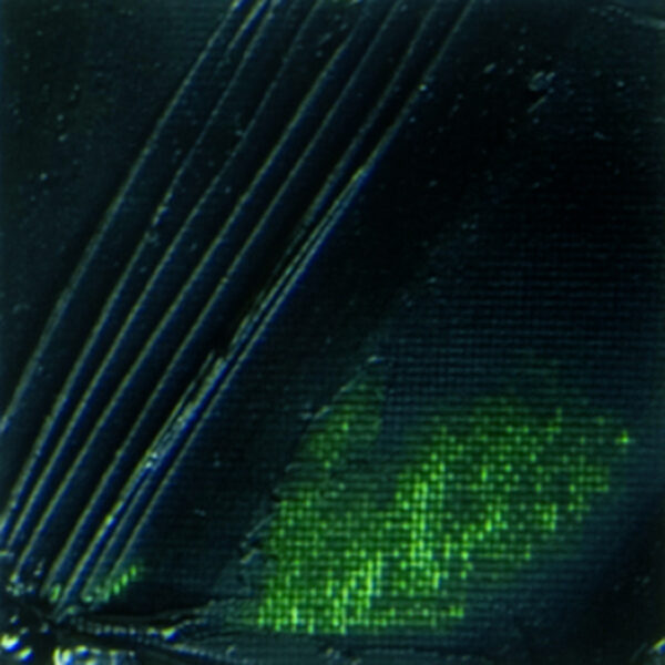 Xl Fine Oil 37 Ml Sap Green