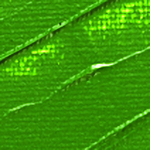 d21c355a67cc5a186cf5e09072171df9d674ff86.jpg