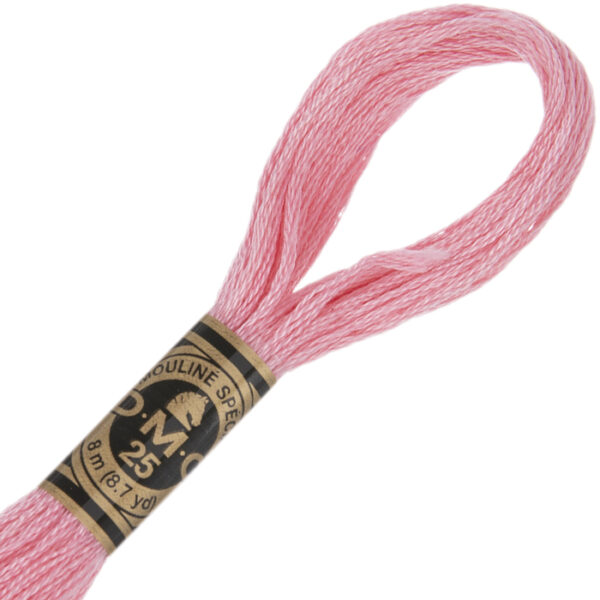 DMC Stranded Cotton Cross Stitch & Embroidery Thread - 3716
