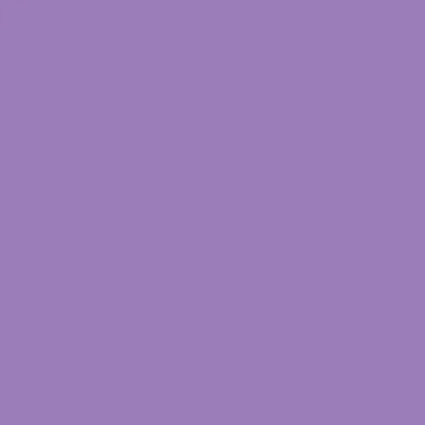 Primacolor 150 Ml Violet