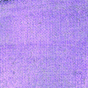 e9c6d8f8e82f9352f85ddf870f6327083e2cbfbd.jpg
