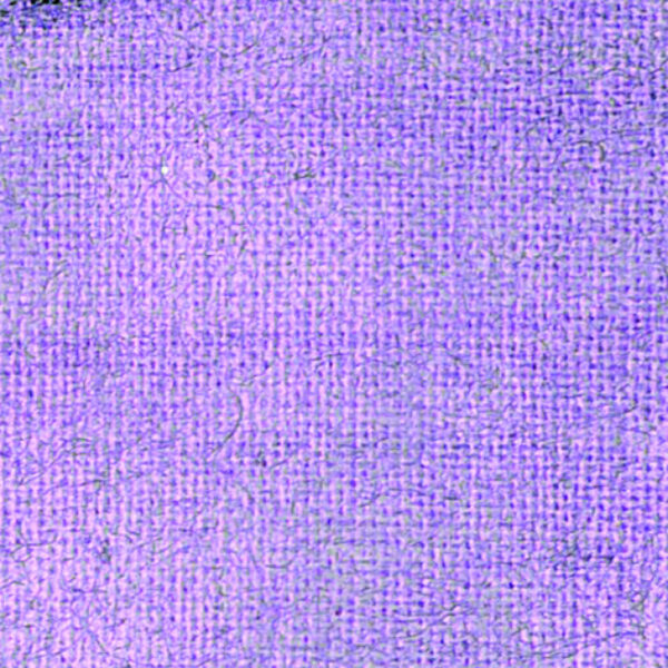 Setacolor Opaque 45 Ml Pearl Pink