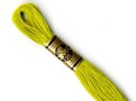 DMC Stranded Cotton Cross Stitch & Embroidery Thread - 166